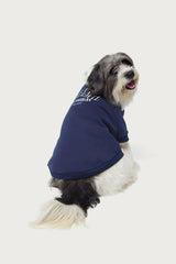 Get Edikted Pet Sweatshirt