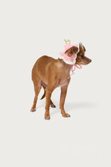 Petal Pet Crochet Hat