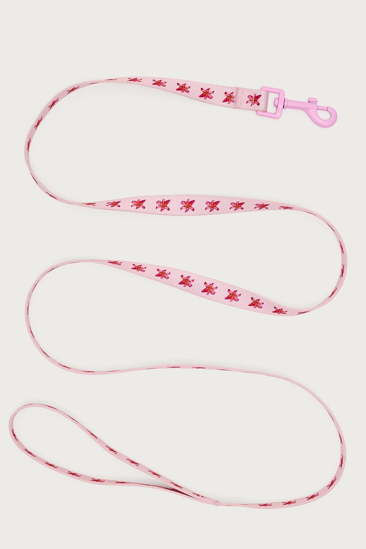 Daylily Pet Leash