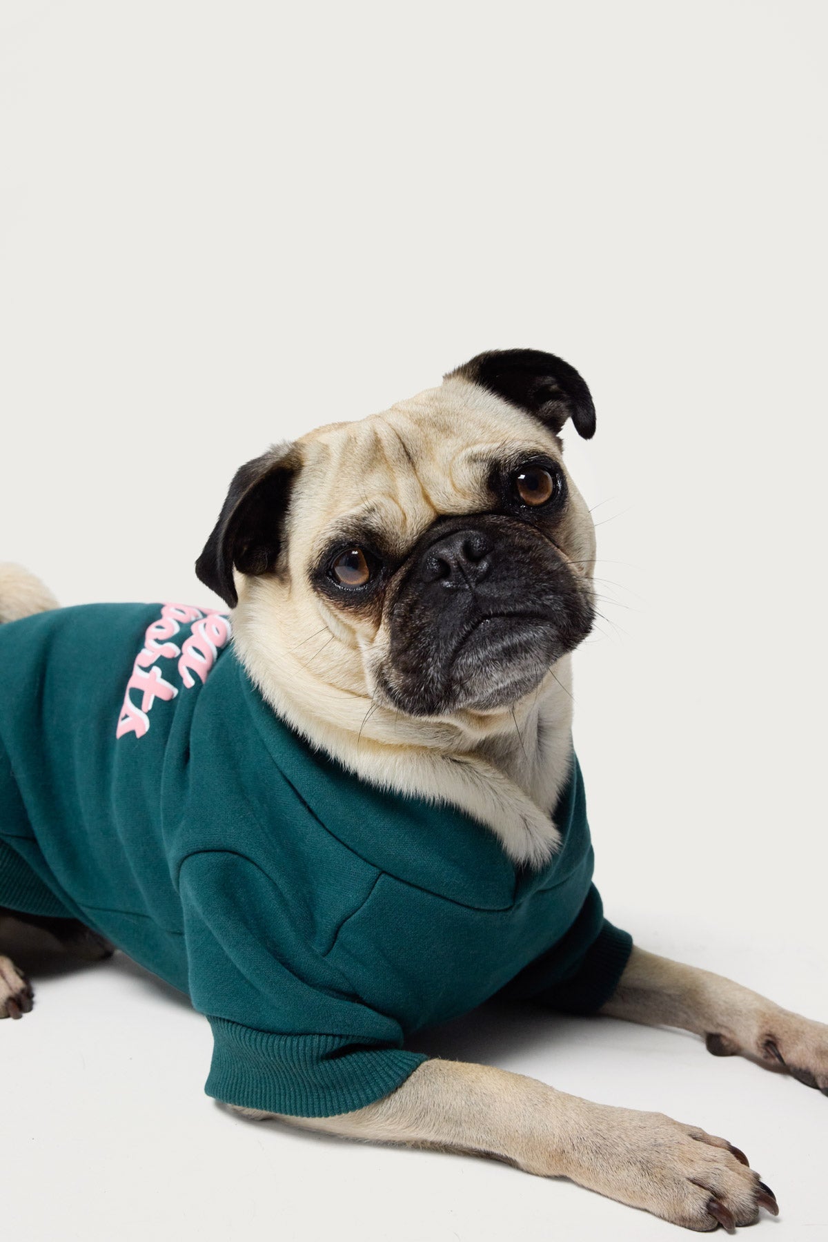 So Sporty Pet Hoodie