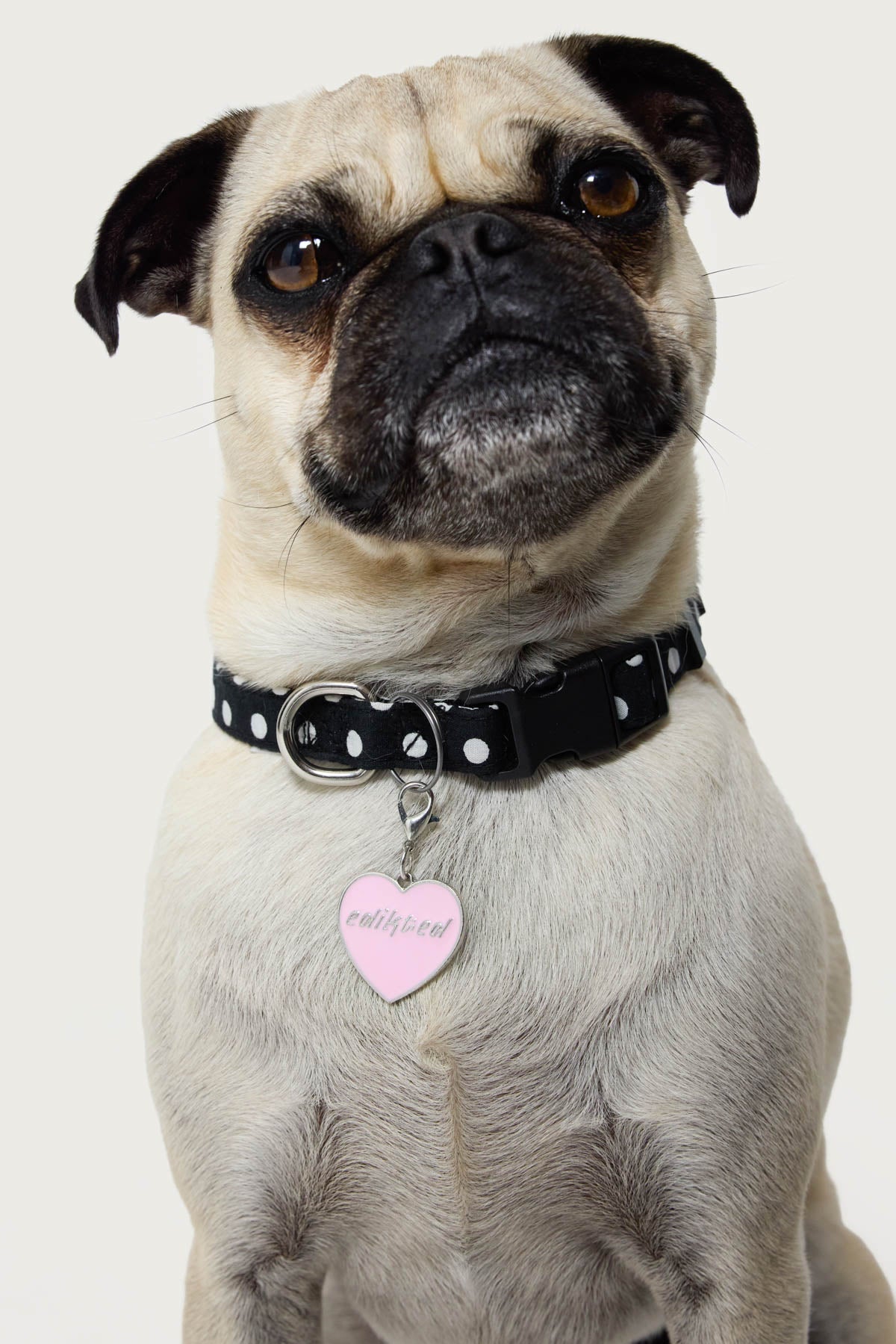 Heart Throb Collar Charm