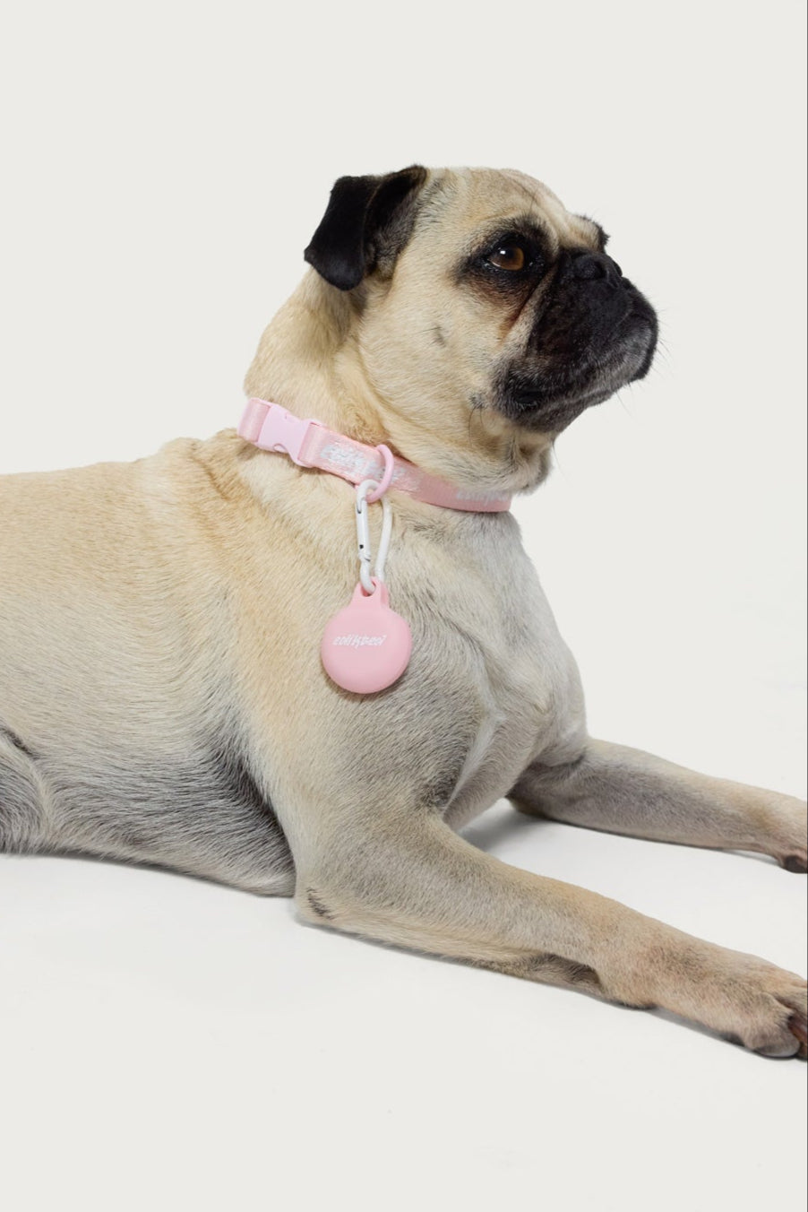 Edikted GPS Tag Holder